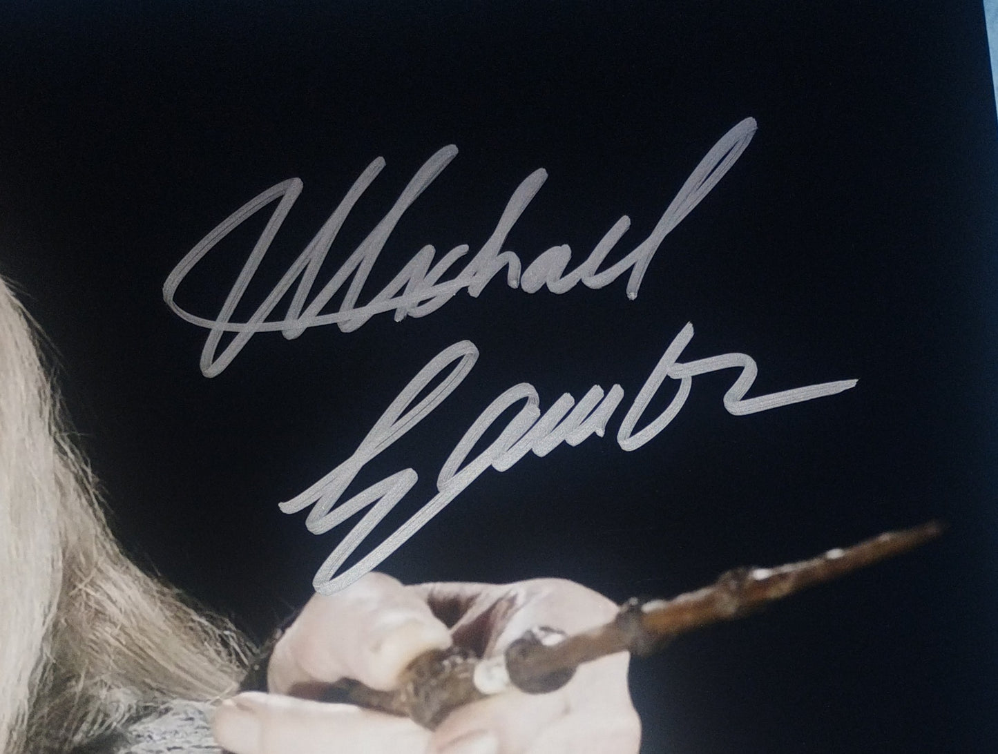 Michael Gambon Hand Signed Autograph Photo COA Harry Potter