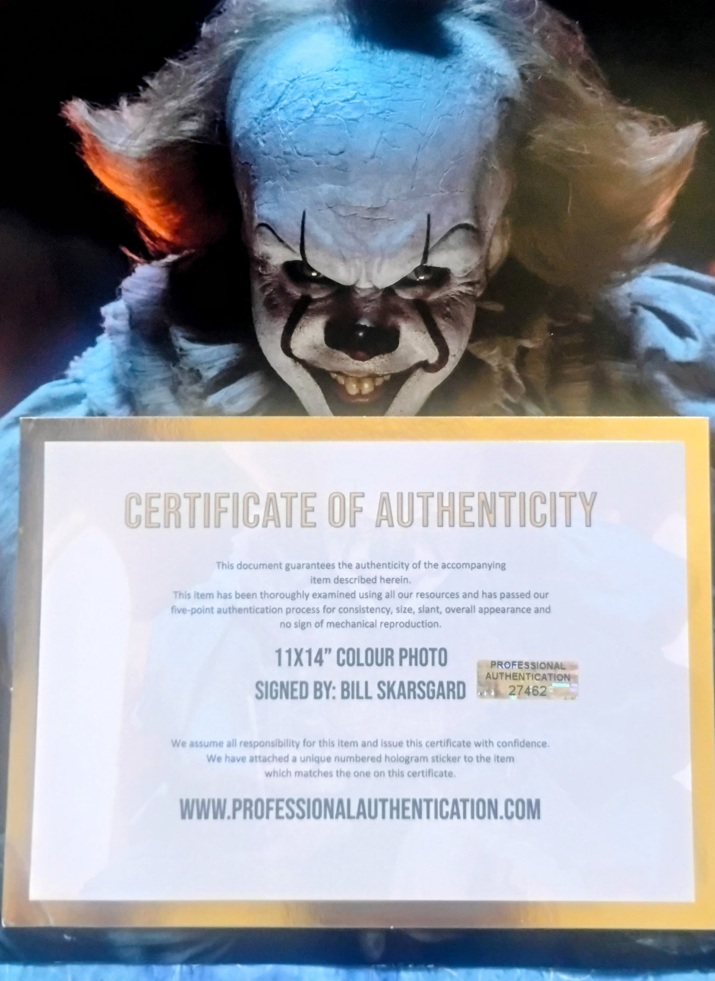 Bill Skarsgard Hand Signed Autograph 11x14 Photo COA Pennywise