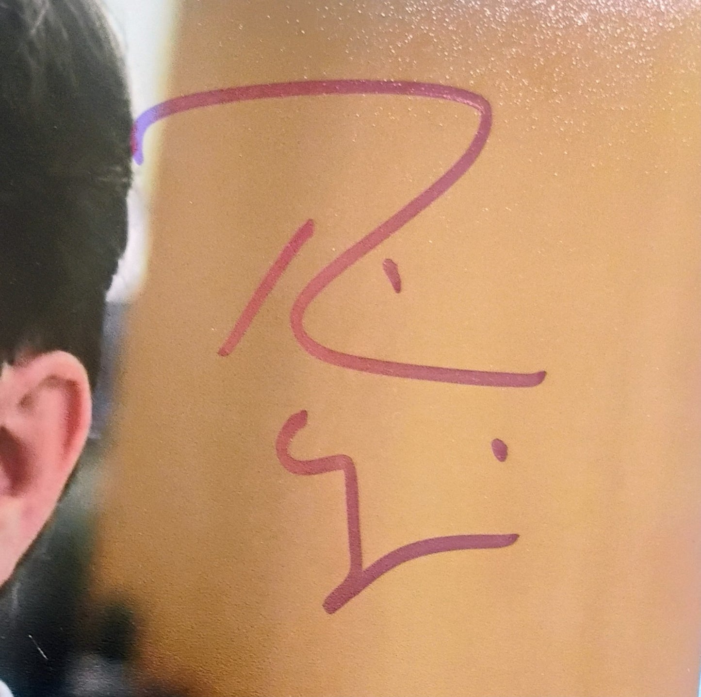 Rainn Wilson Hand Signed Autograph 8x10 Photo JSA COA The Office