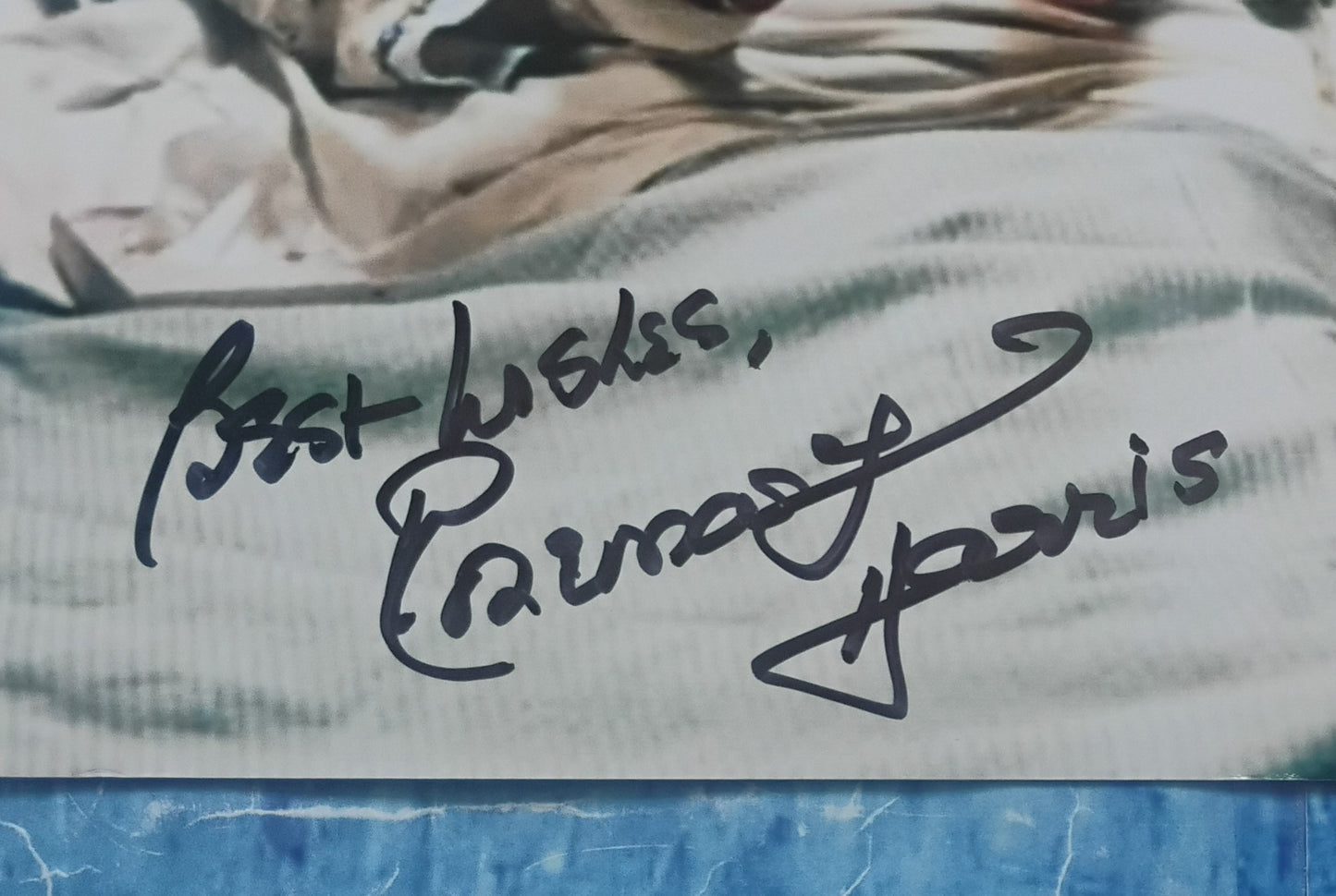 Rosemary Harris Hand Signed Autograph 8x10 Photo JSA COA Spider-man