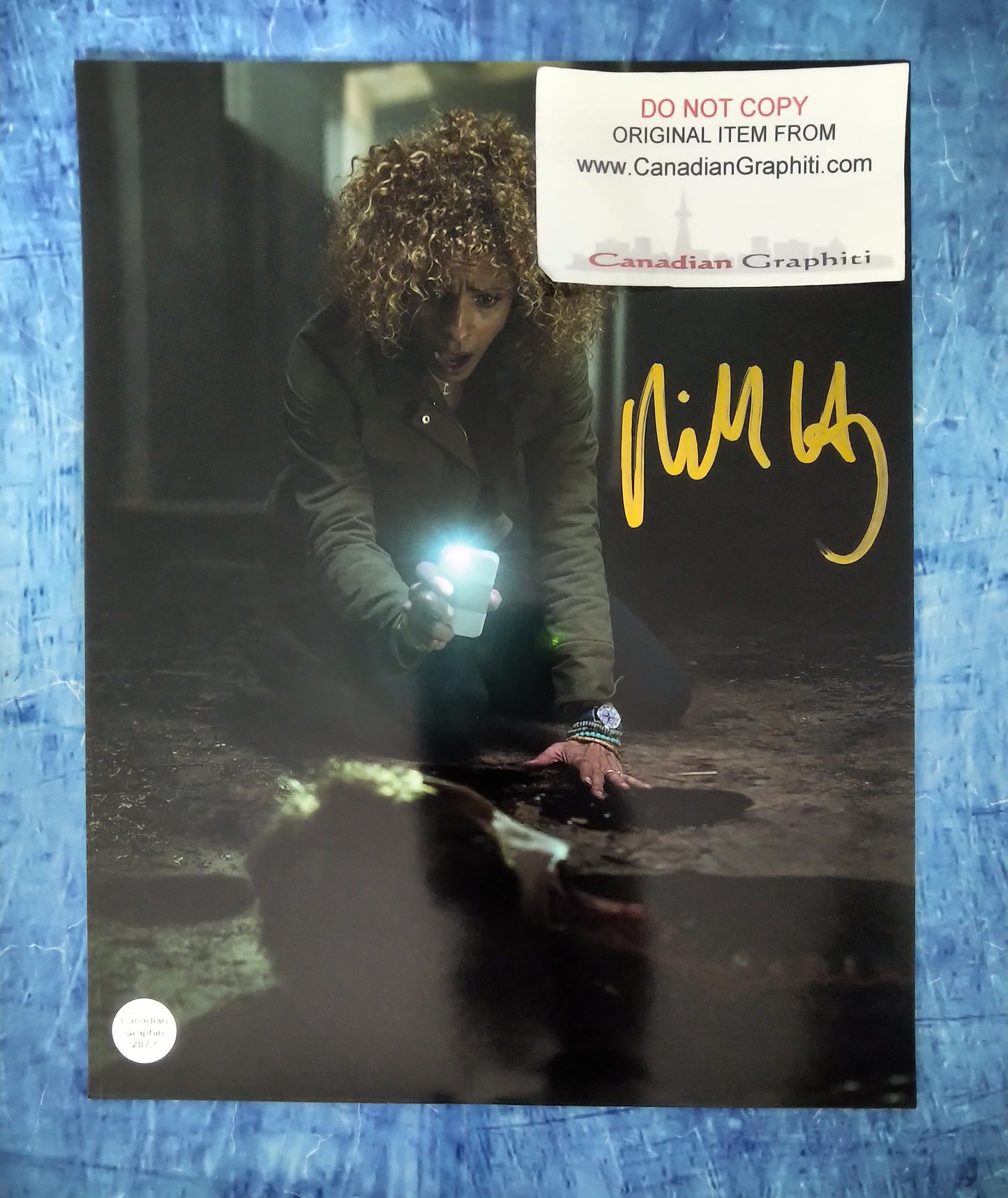 Michelle Hurd Hand Signed Autograph 8x10 Photo COA Ash vs Evil Dead