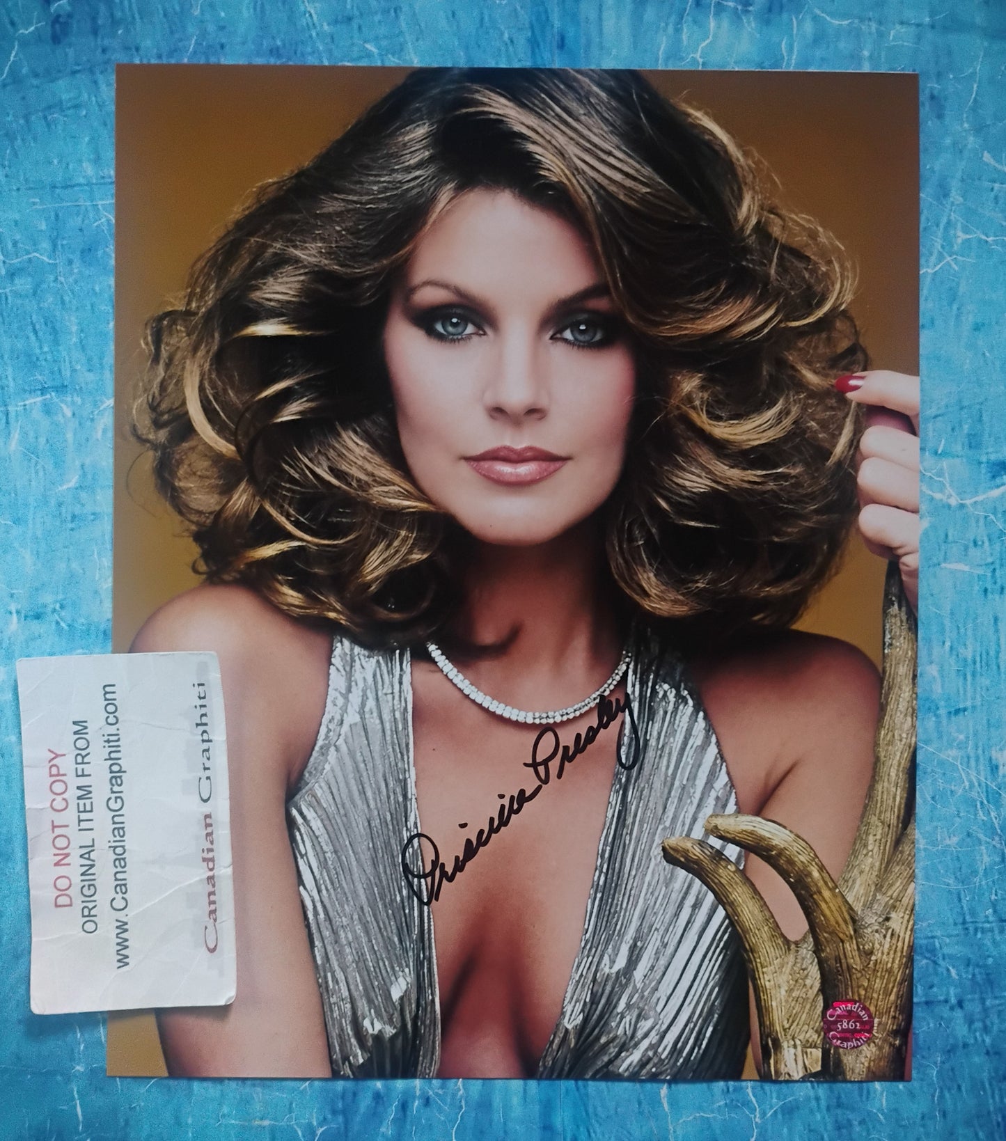 Priscilla Presley Hand Signed Autograph 8x10 Photo COA