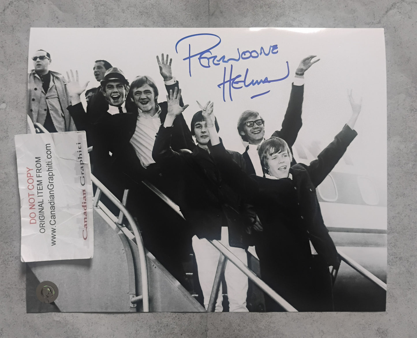 Peter Noone Hand Signed Autograph 8x10 Photo COA Herman's Hermits