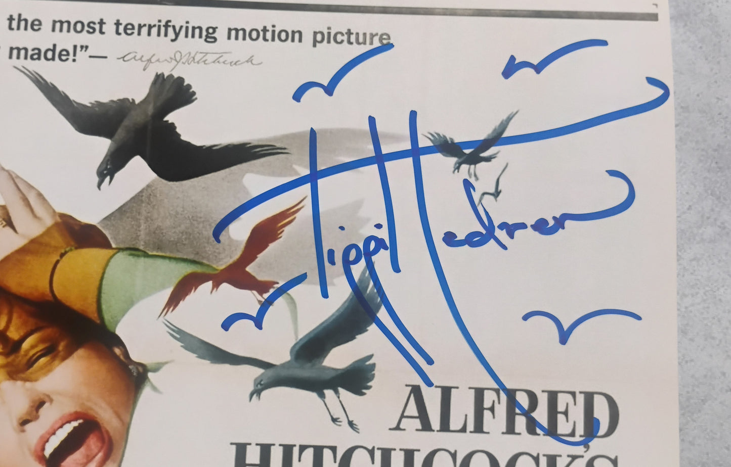 Rod Taylor & Tippi Hedren Hand Signed Autograph 8x10 Photo COA The Birds