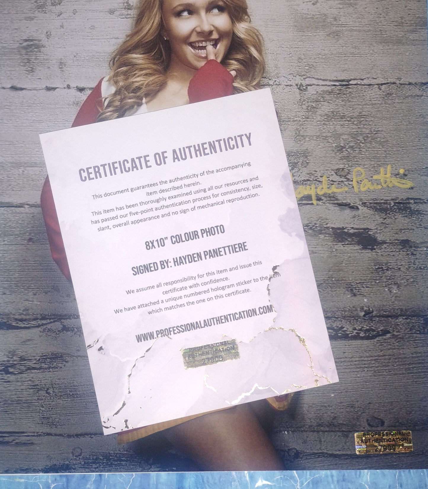 Hayden Panettiere Hand Signed Autograph 8x10 Photo COA Heroes