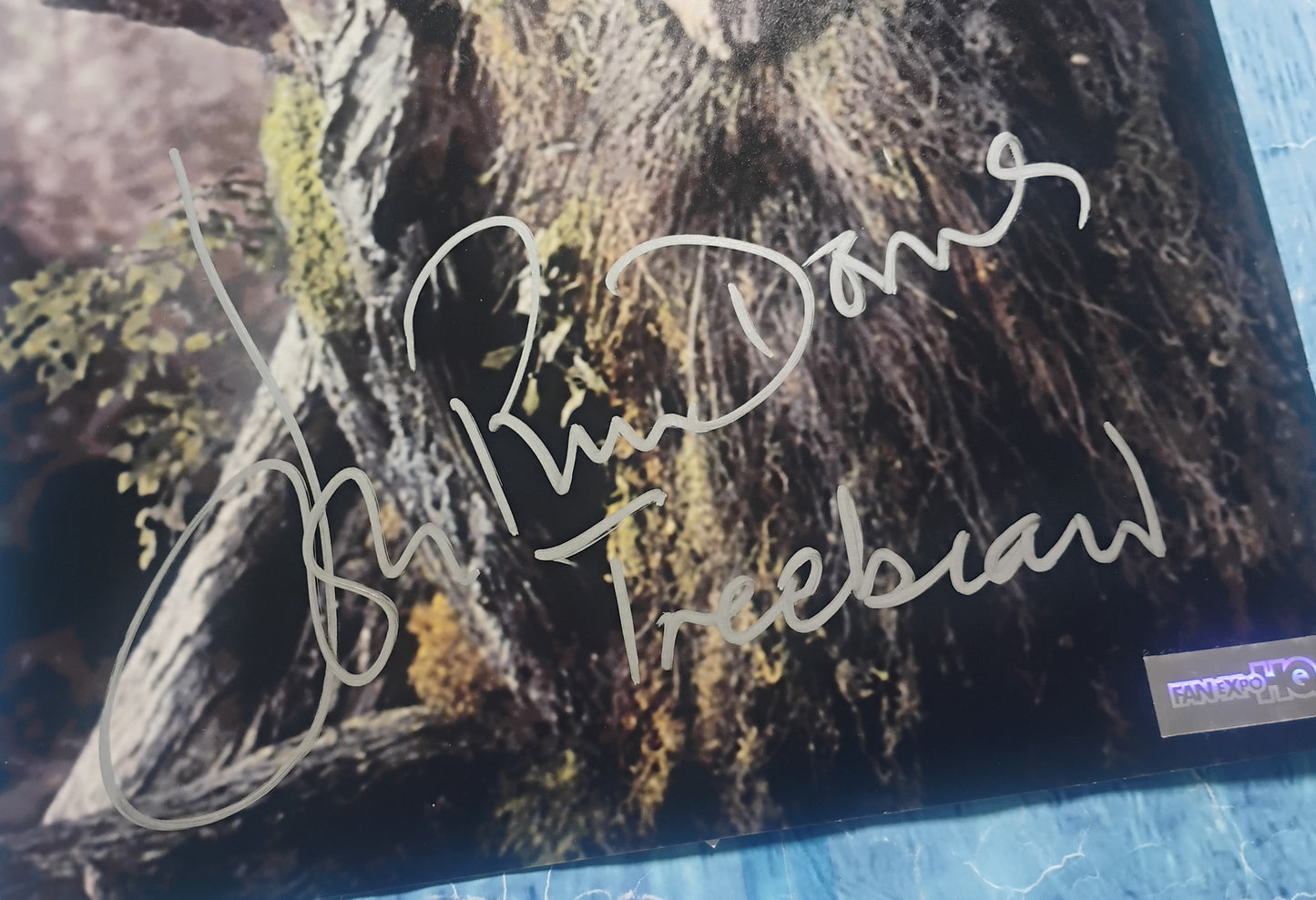 John Rhys-Davies Hand Signed Autograph 8x10 Photo COA Lord Of The Rings