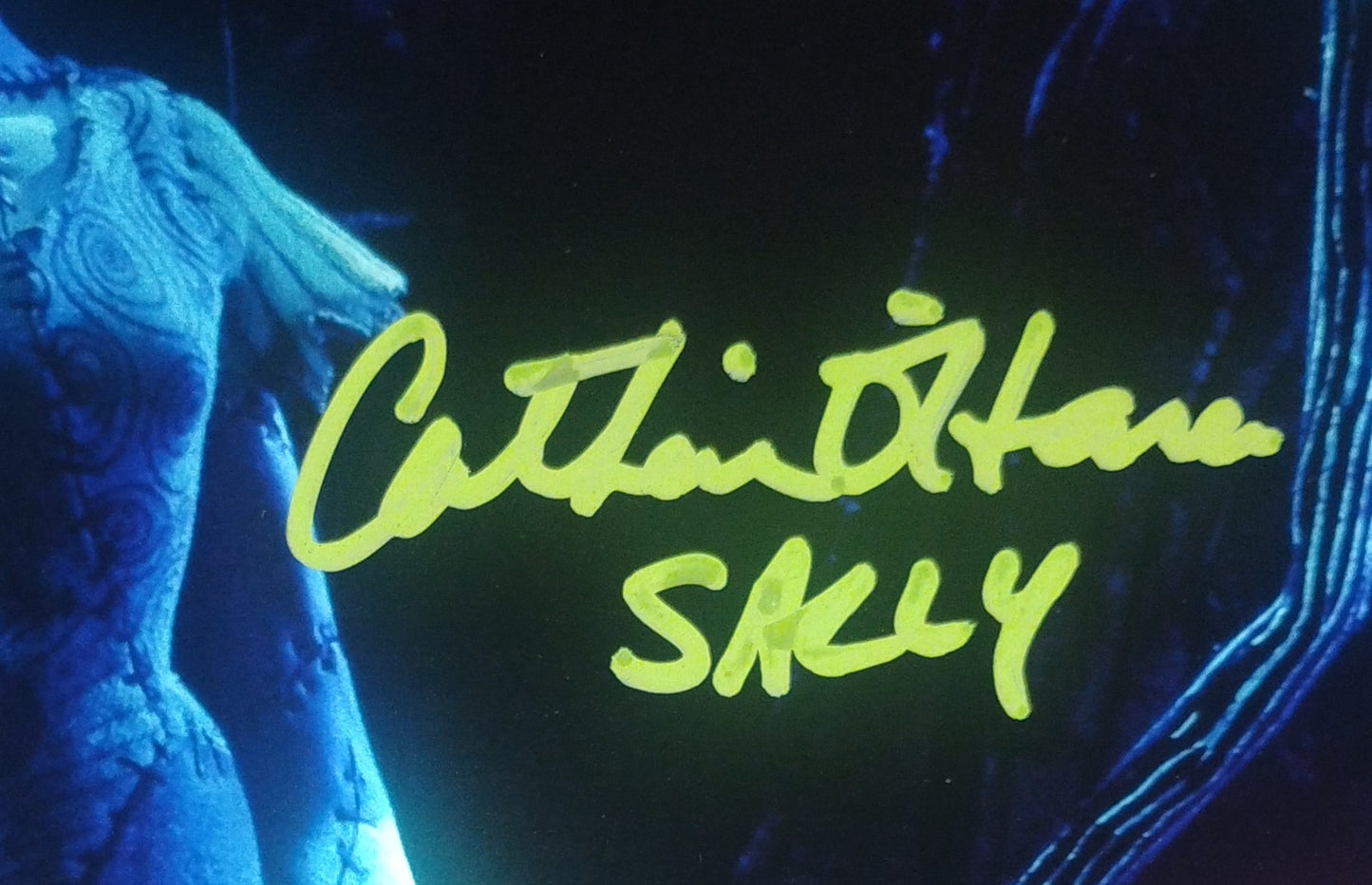 Chris Sarandon & Catherine O'Hara Hand Signed Autograph 11x14 Photo COA The Nightmare Before Christmas