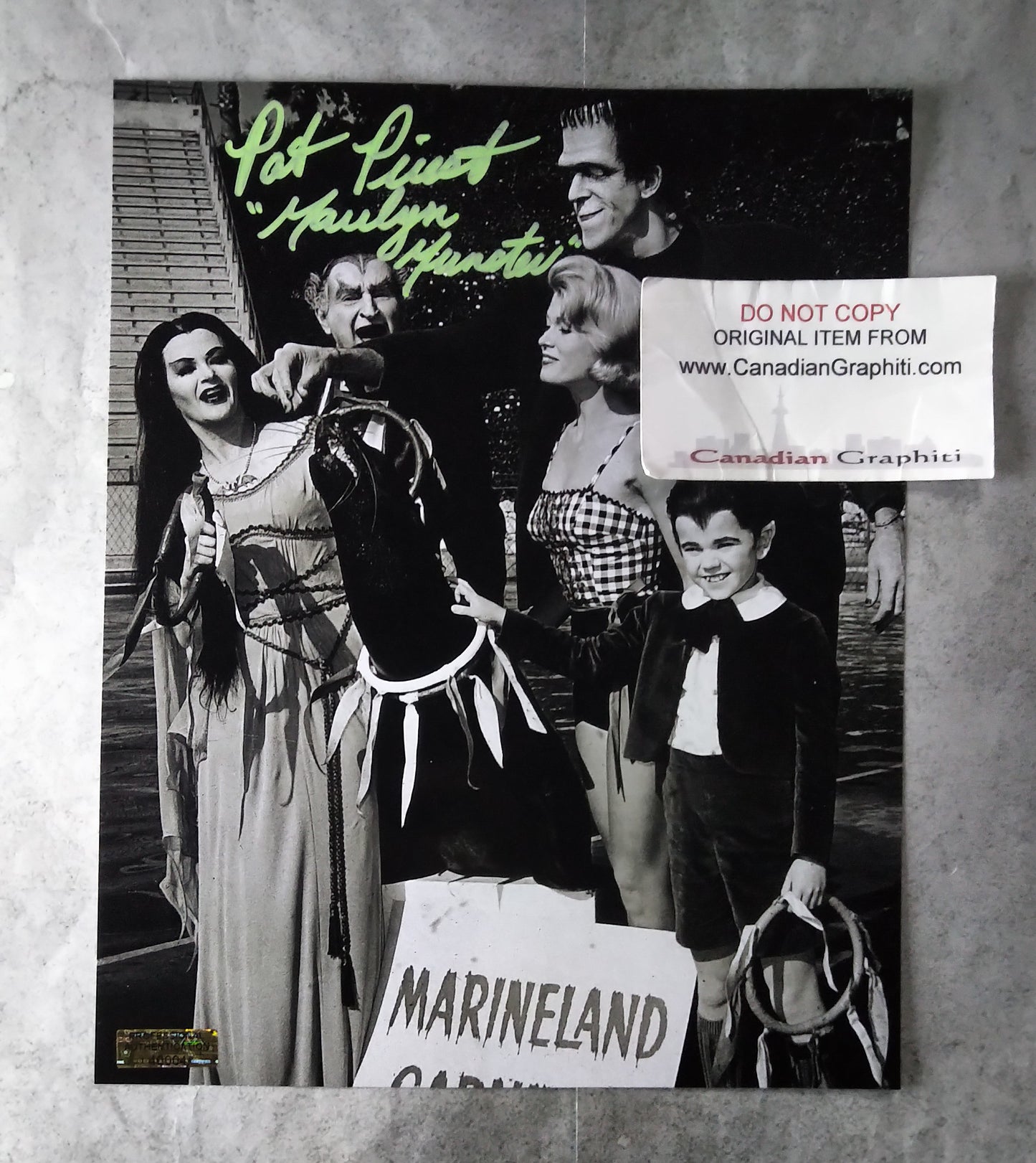 Pat Priest Hand Signed Autograph 8x10 Photo COA The Munsters