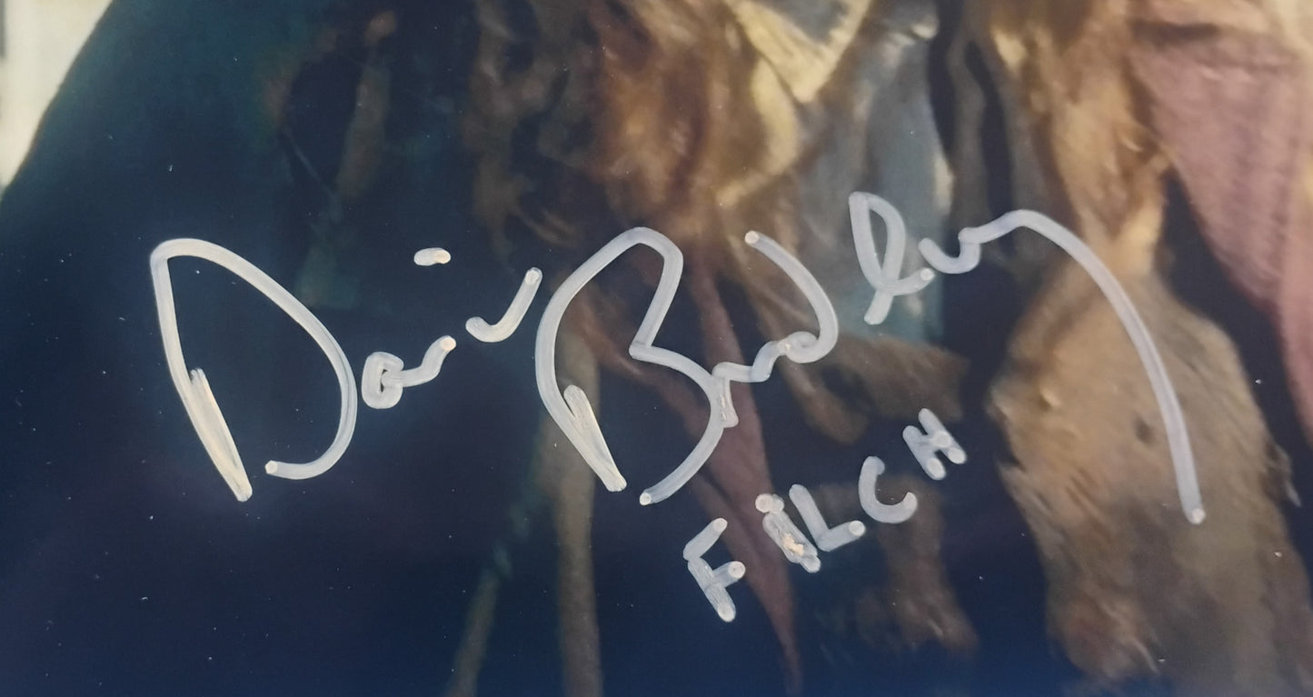 David Bradley Hand Signed Autograph Photo COA Harry Potter