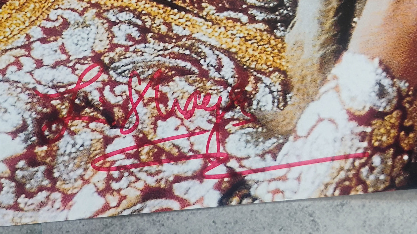 Lin Shaye Hand Signed Autograph 8x10 Photo BAS COA