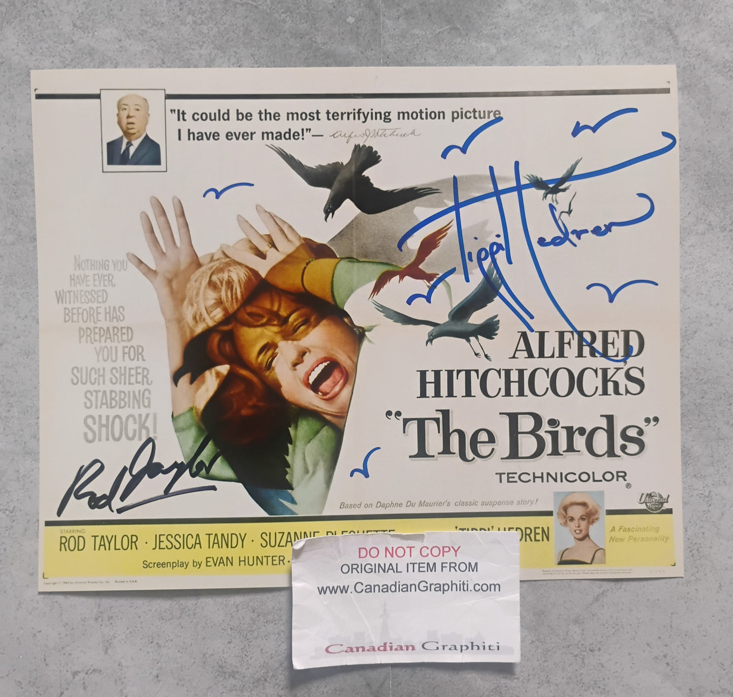 Rod Taylor & Tippi Hedren Hand Signed Autograph 8x10 Photo COA The Birds