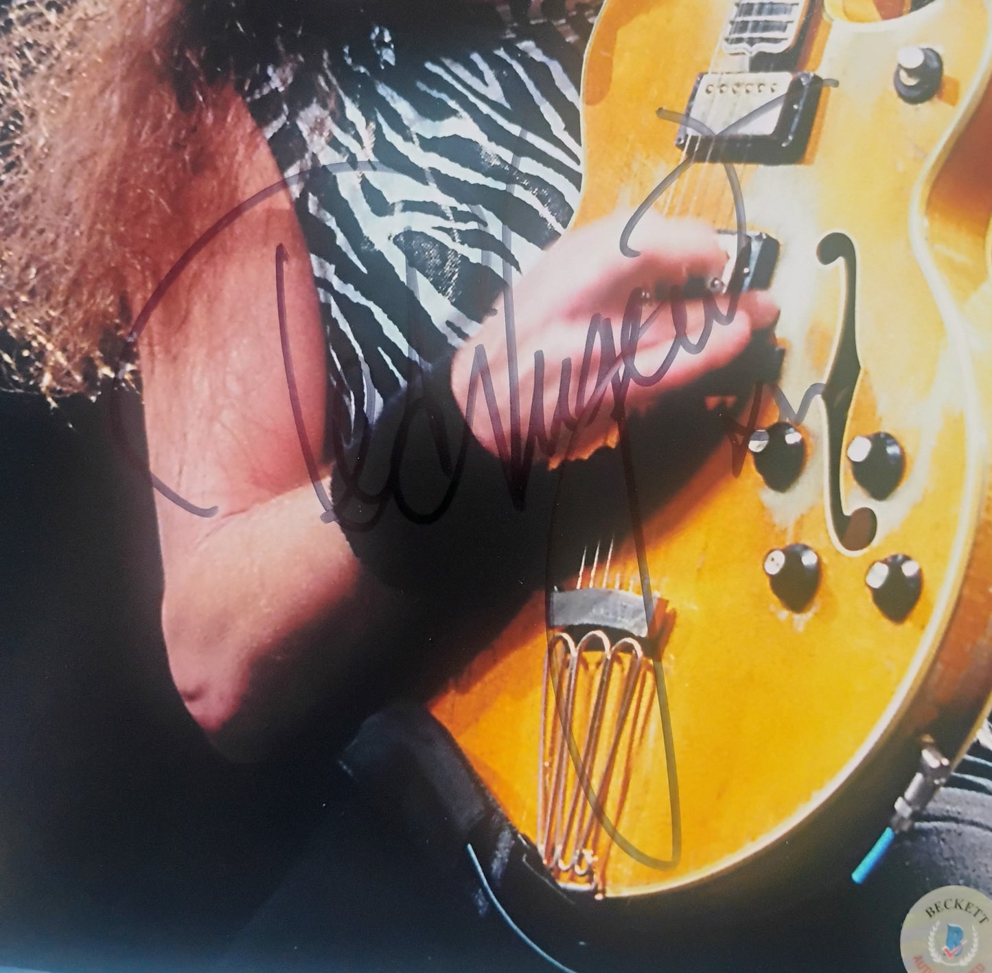 Ted Nugent Hand Signed Autograph 8x10 Photo BAS COA