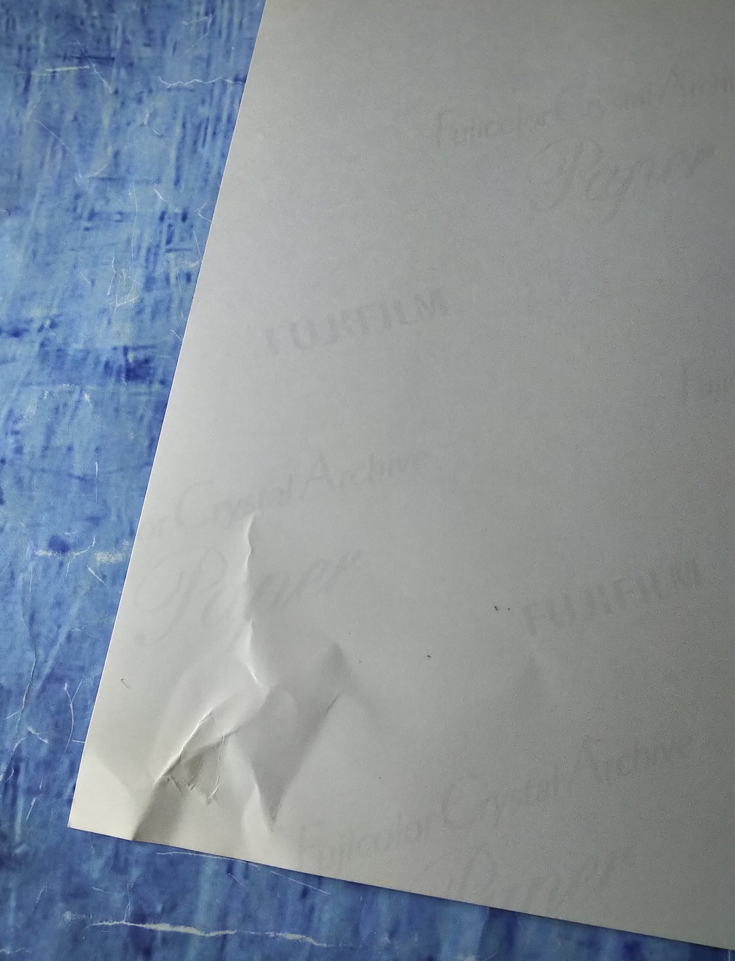 Brad Dourif & Alex Vincent Hand Signed Autograph 8x10 Photo COA Child's Play