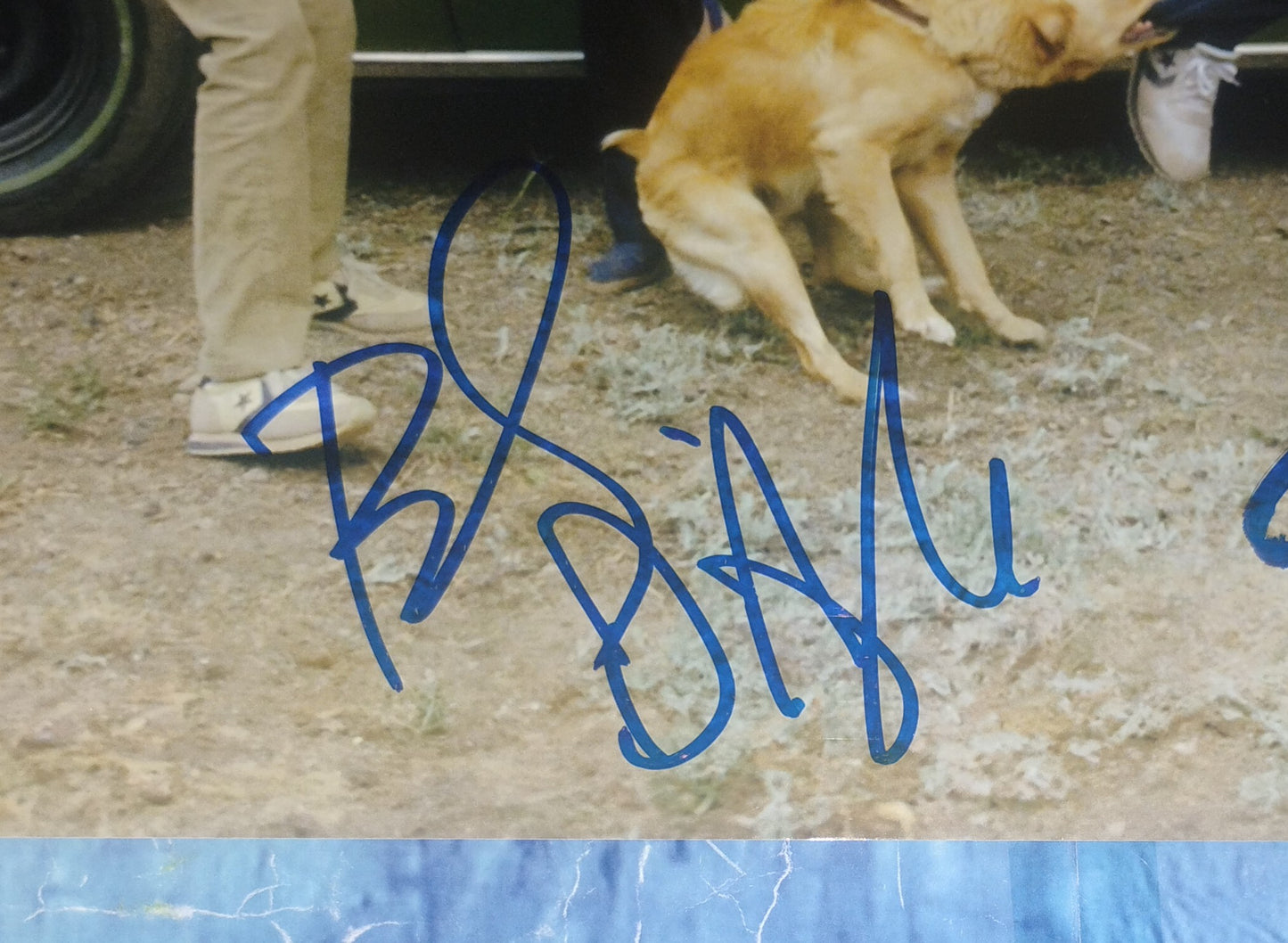 Beverly D'Angelo & Chevy Chase Hand Signed Autograph 8x10 Photo COA