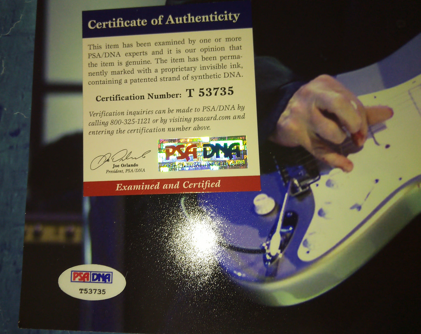 Pete Townshend Hand Signed Autograph 11x14 Photo PSA COA The Who