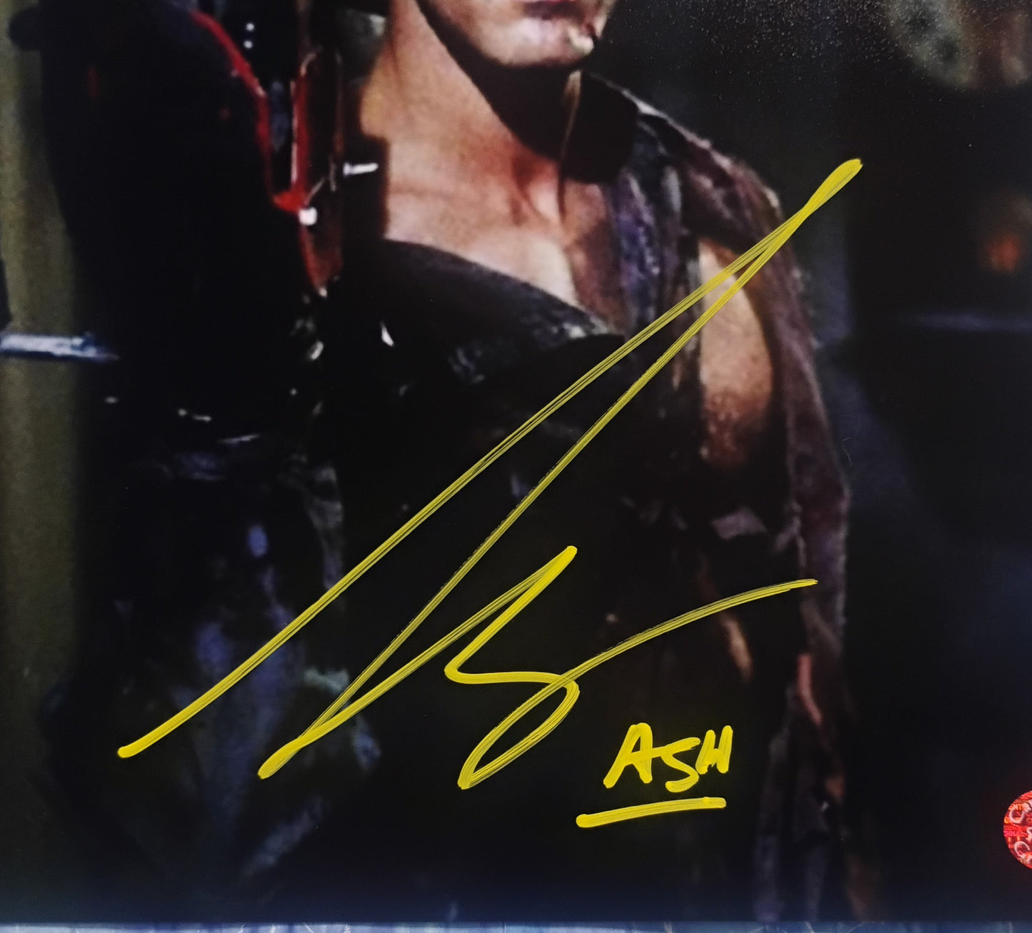 Bruce Campbell Hand Signed Autograph 8x10 Photo COA Evil Dead