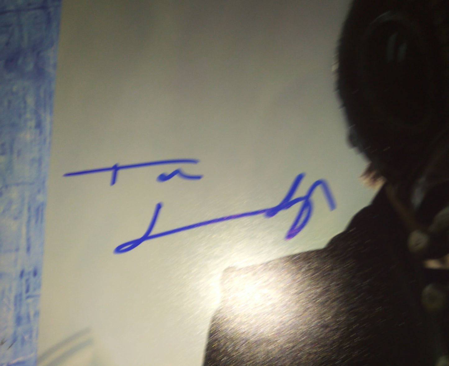 Tom Sturridge Hand Signed Autograph 8x10 Photo COA The Sandman