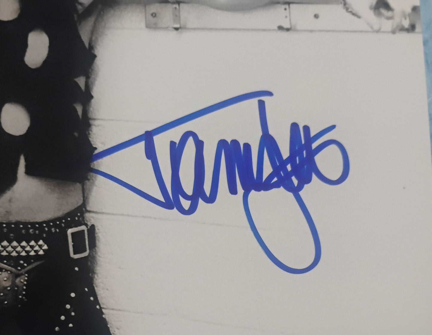 Tommy Lee Hand Signed Autograph 8x10 Photo COA Motley Crue