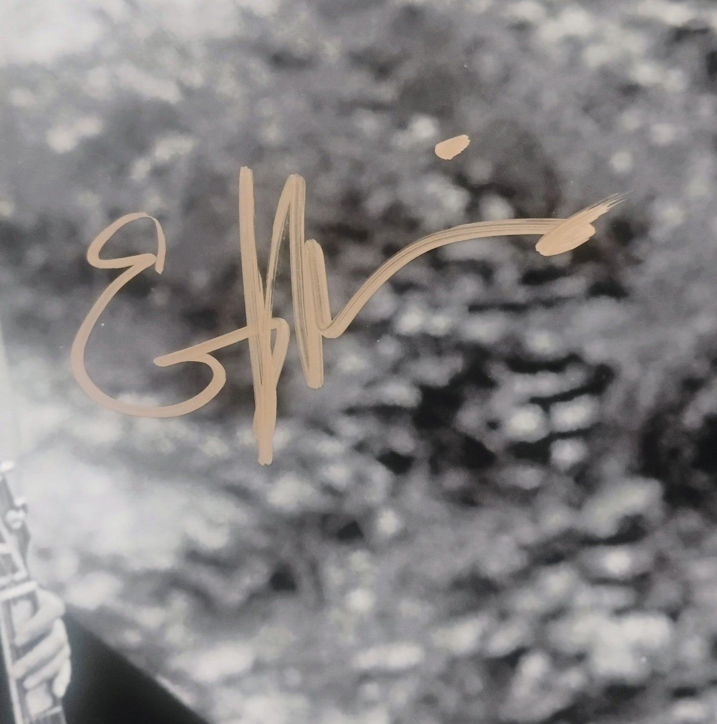 Emmylou Harris Hand Signed Autograph 8x10 Photo COA