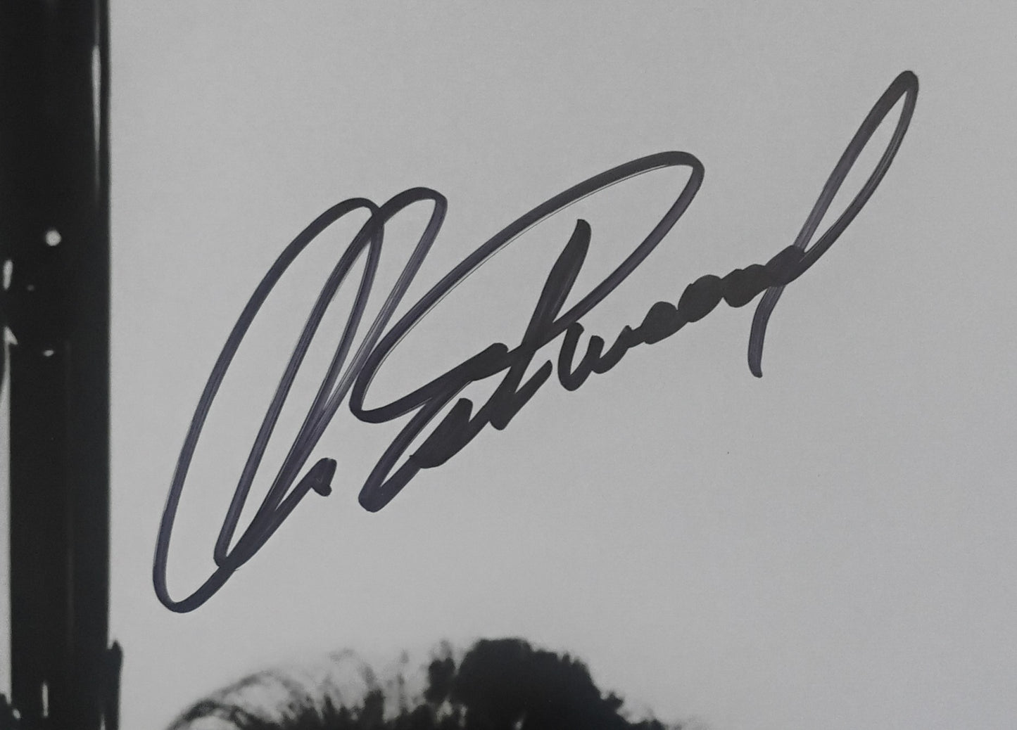 Clint Eastwood Hand Signed Autograph 8x10 Photo COA