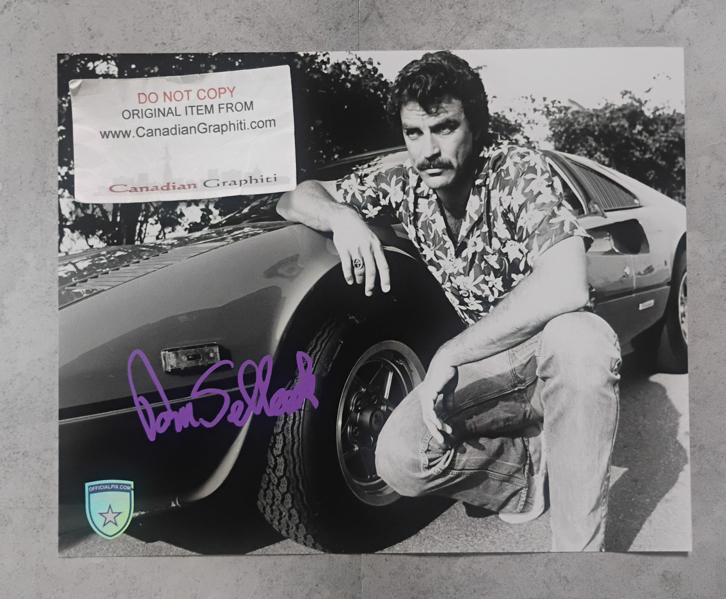 Tom Selleck Hand Signed Autograph 8x10 Photo OPix COA Magnum P.I.