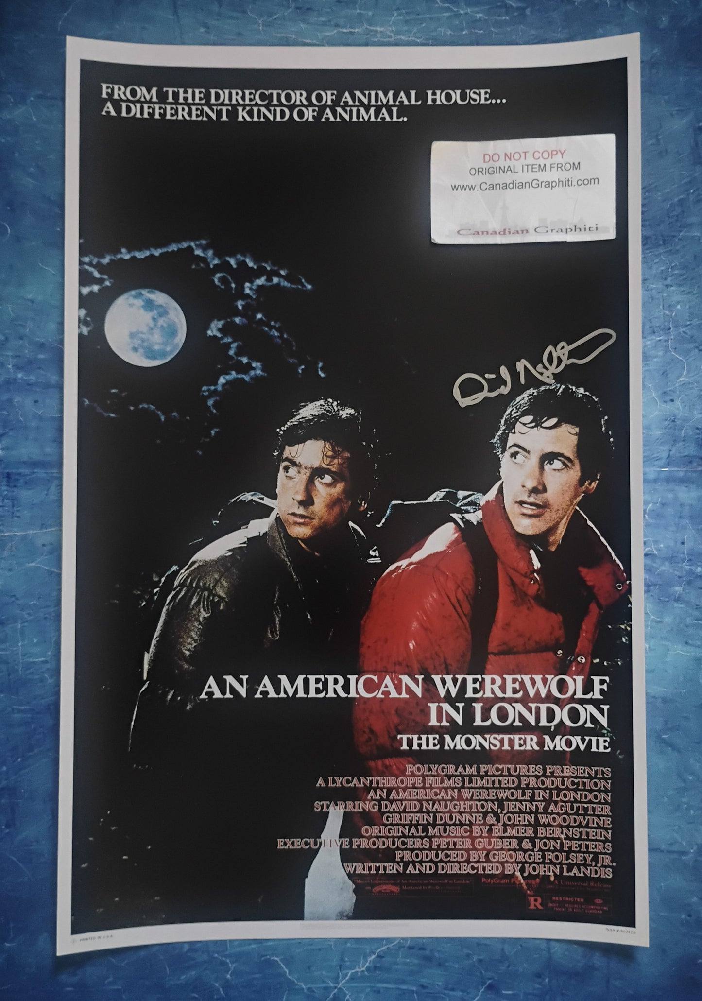 David Naughton Hand Signed Autograph 11x17 Photo JSA COA American Werewolf In London