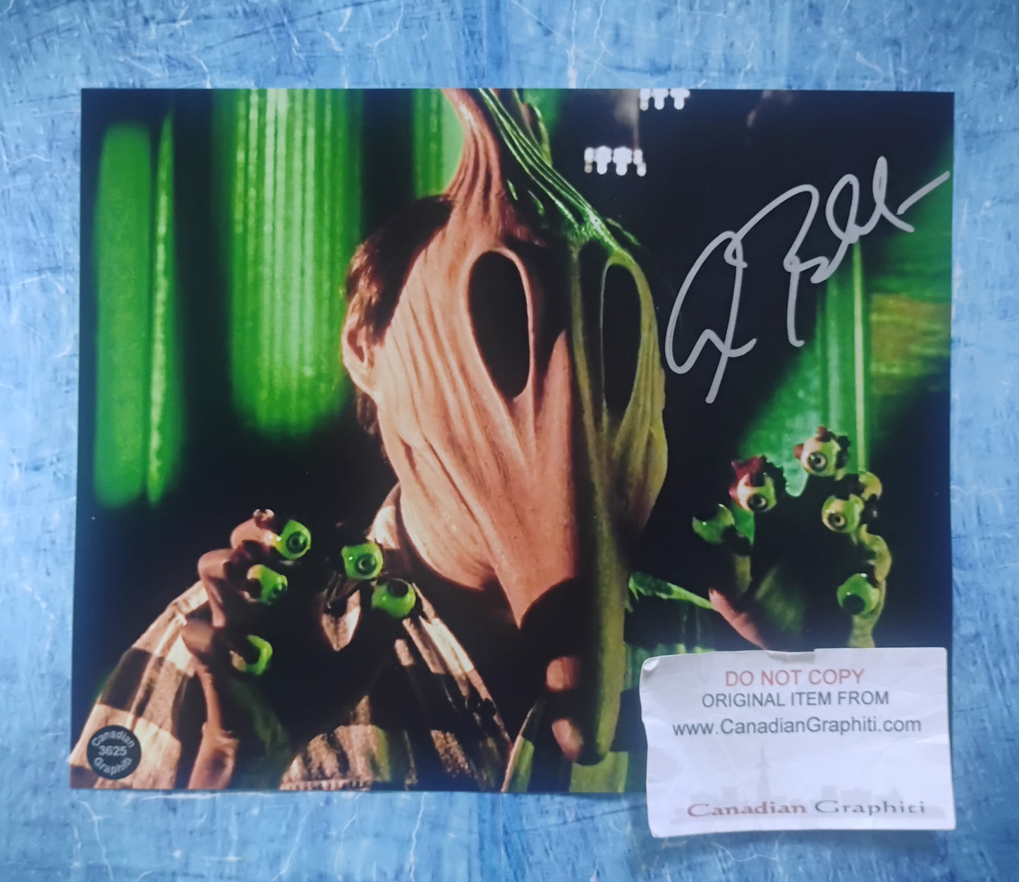 Alec Baldwin Hand Signed Autograph 8x10 Photo COA Beetlejuice