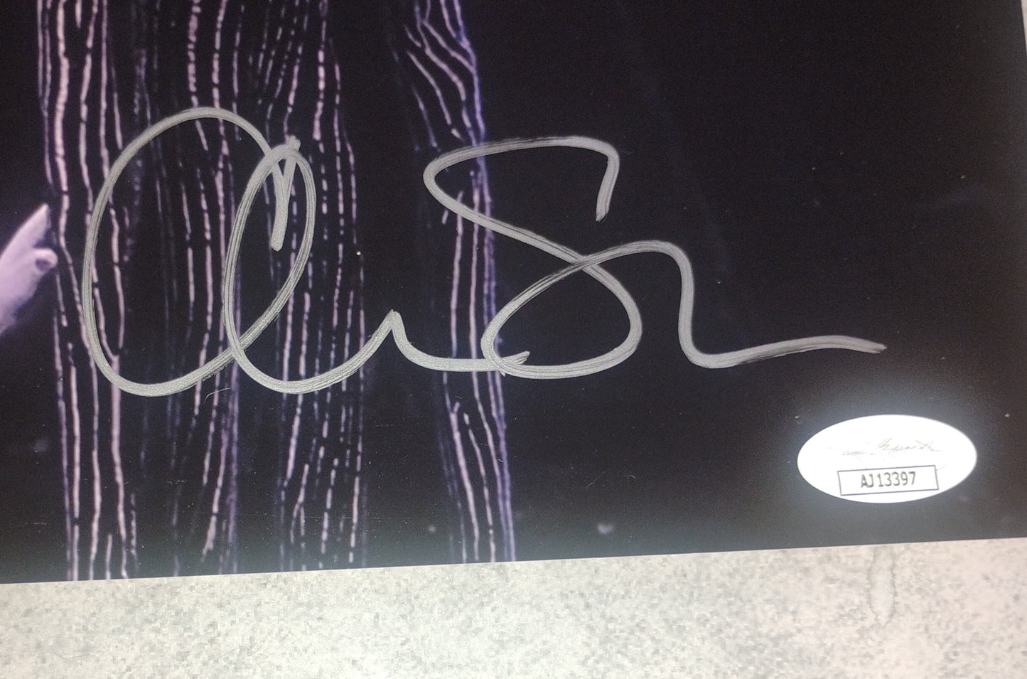 Catherine O'Hara & Chris Sarandon Hand Signed Autograph 11x14 Photo JSA COA The Nightmare Before Christmas