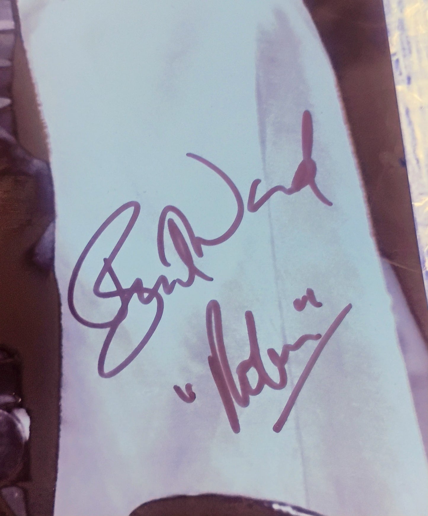 Burt Ward Hand Signed Autograph 8x10 Photo COA