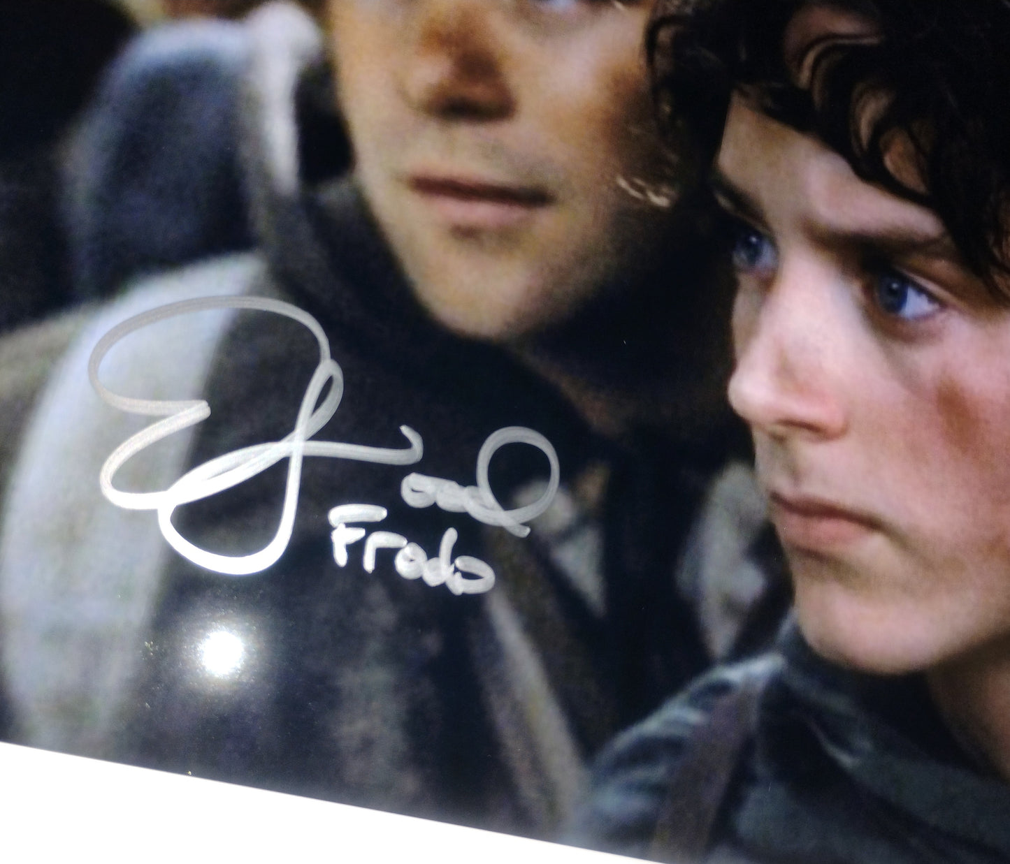 Elijah Wood Hand Signed Autograph 11x17 Photo COA Lord Of The Rings