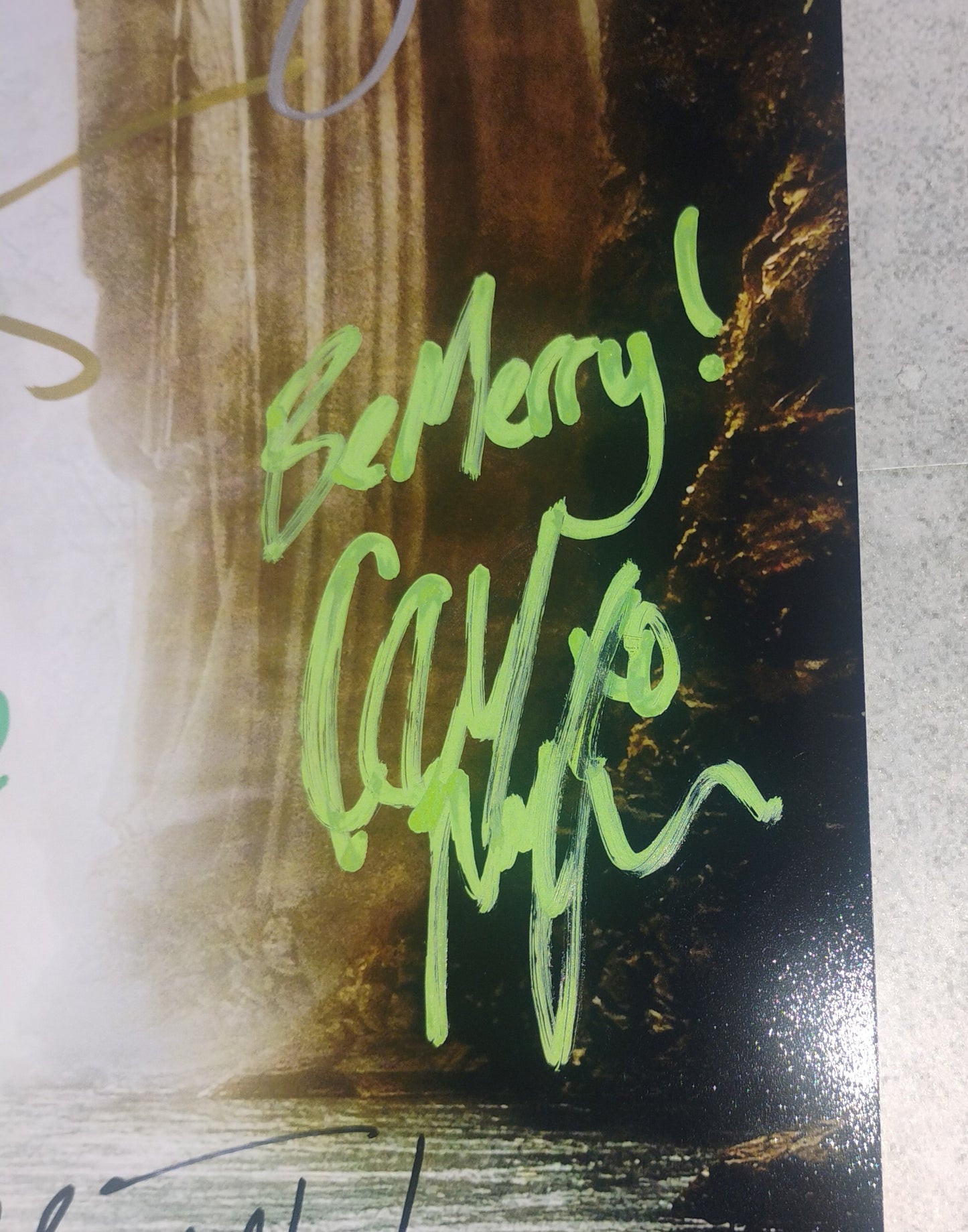 Lord Of The Rings 9x Hand Signed Autograph Poster COA