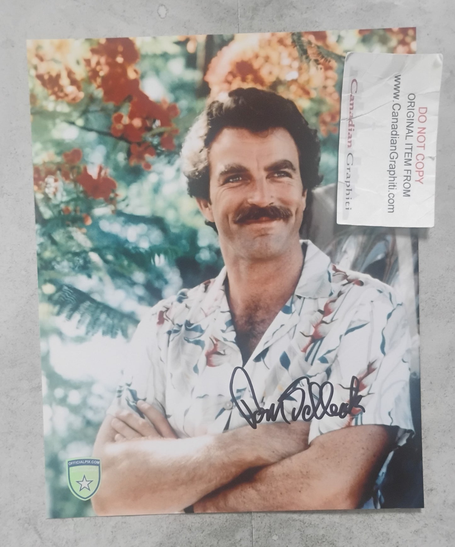 Tom Selleck Hand Signed Autograph 8x10 Photo OPix COA