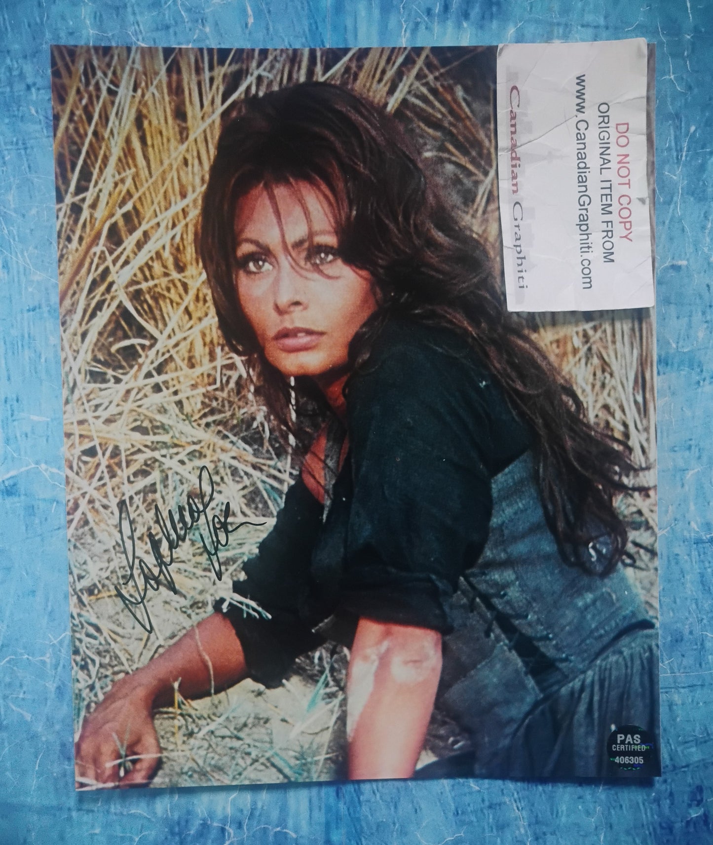 Sophia Loren Hand Signed Autograph 8x10 Photo PSA COA