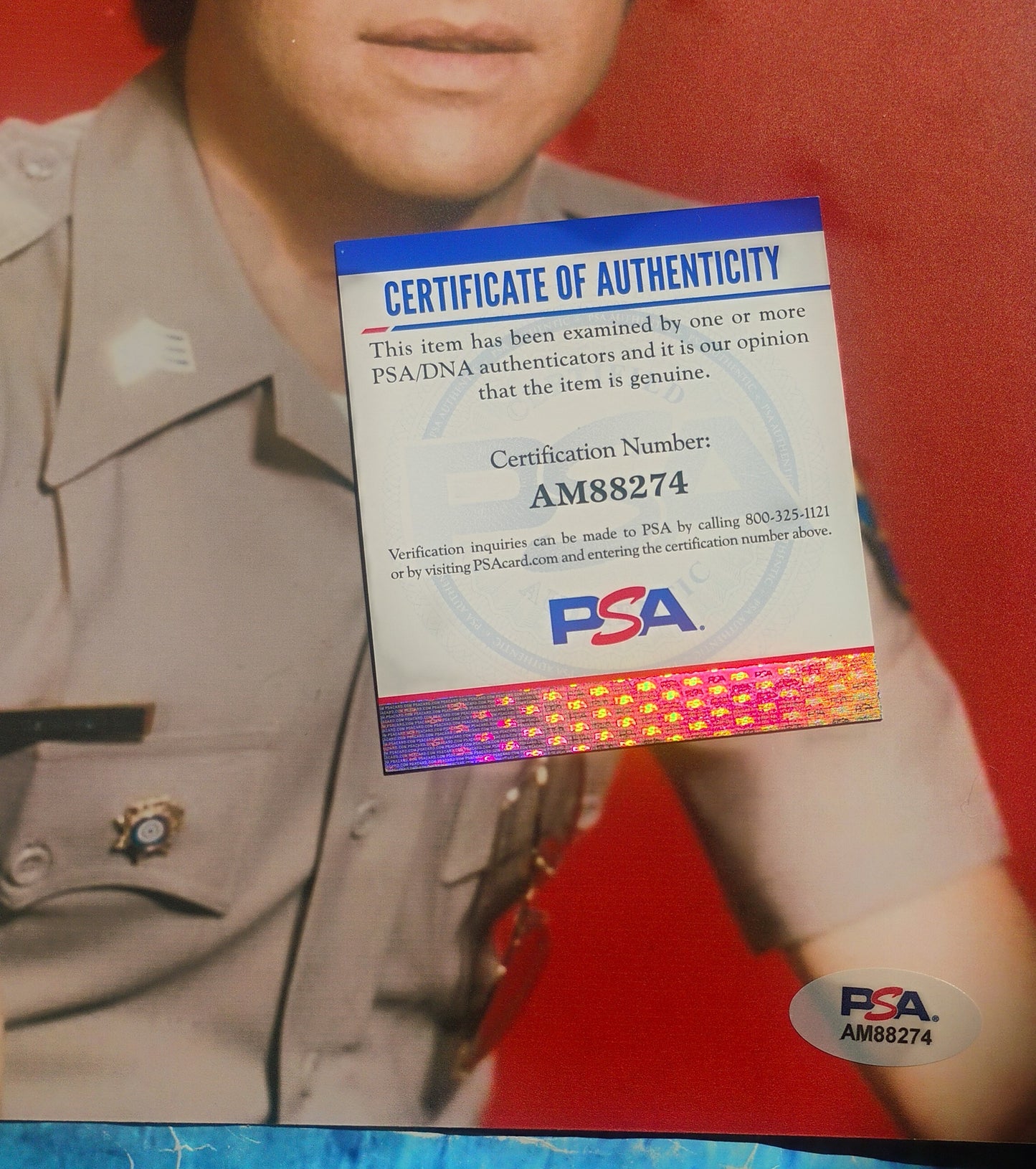 Robert Pine Hand Signed Autograph 8x10 Photo PSA COA Chips