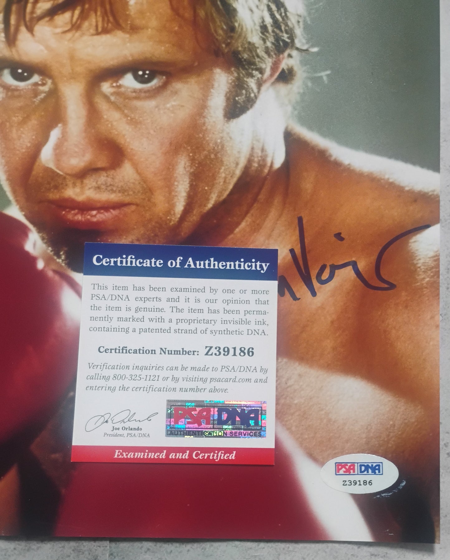 Jon Voight Hand Signed Autograph 8x10 Photo PSA COA The Champ