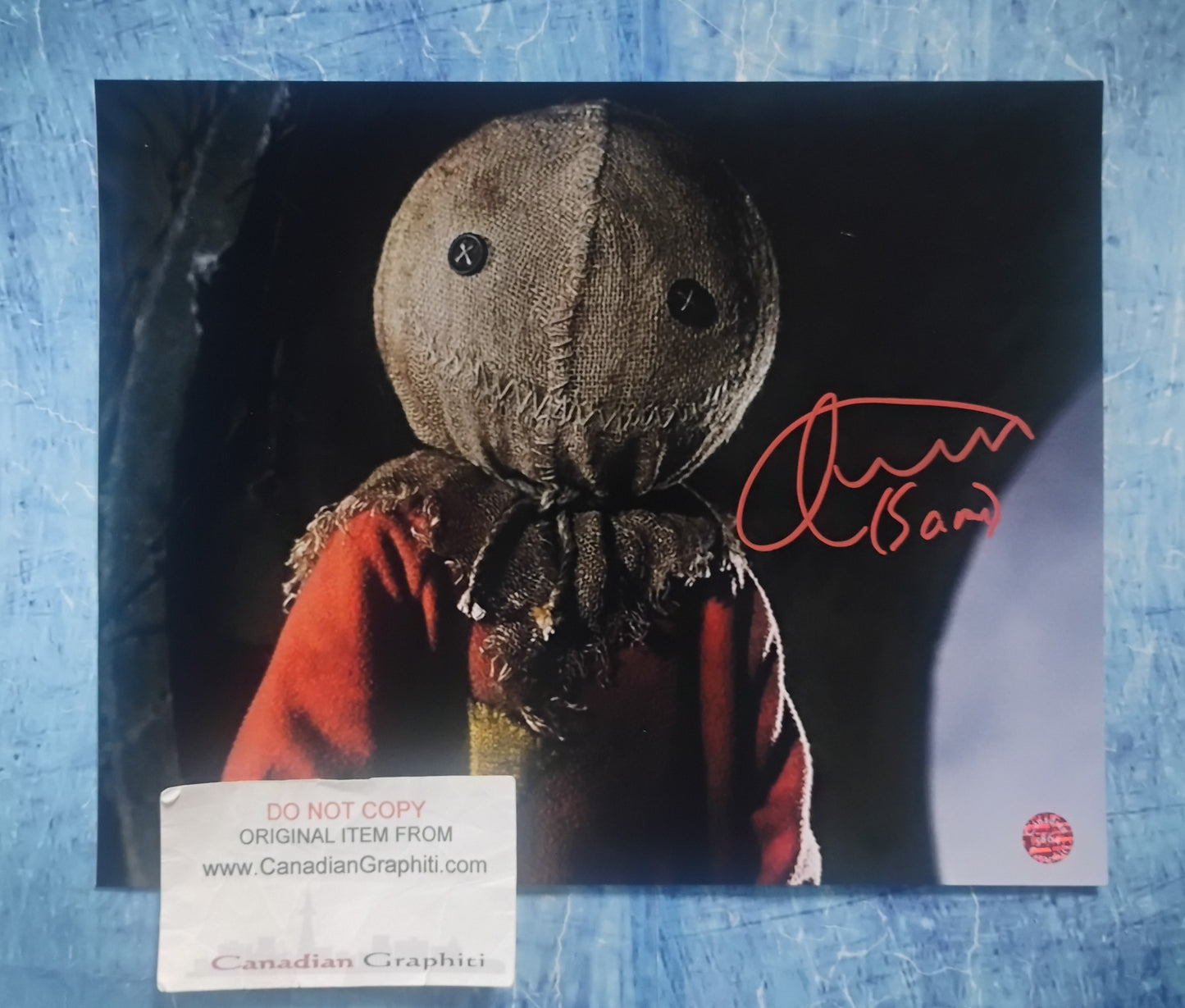 Quinn Lord Hand Signed Autograph 8x10 Photo COA Trick r Treat
