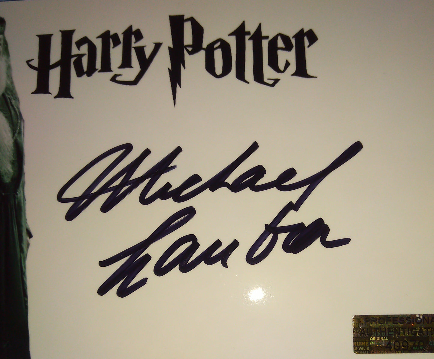 Michael Gambon Hand Signed Autograph Photo COA Harry Potter