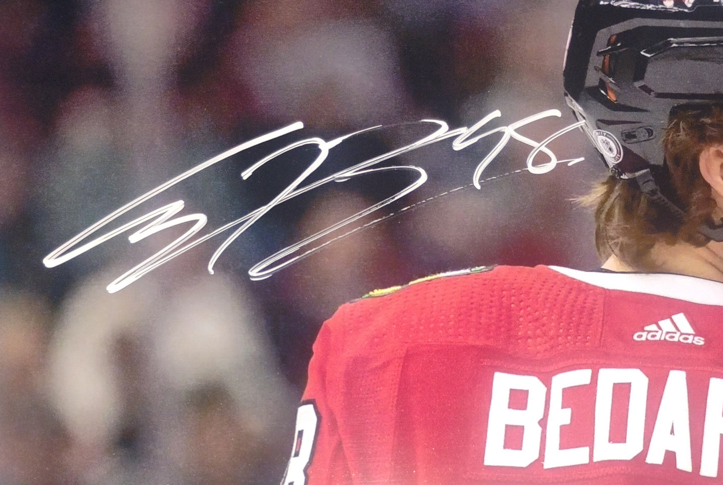 Connor Bedard Hand Signed Autograph 8x10 Photo COA Chicago Blackhawks