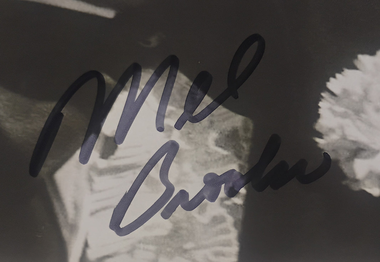 Mel Brooks Hand Signed Autograph 8x10 Photo BAS COA